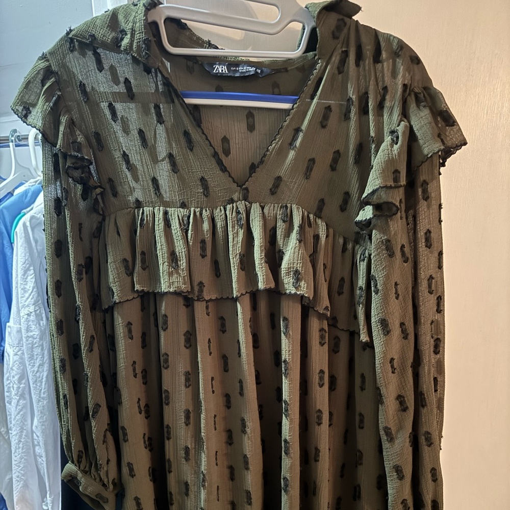Zara dress